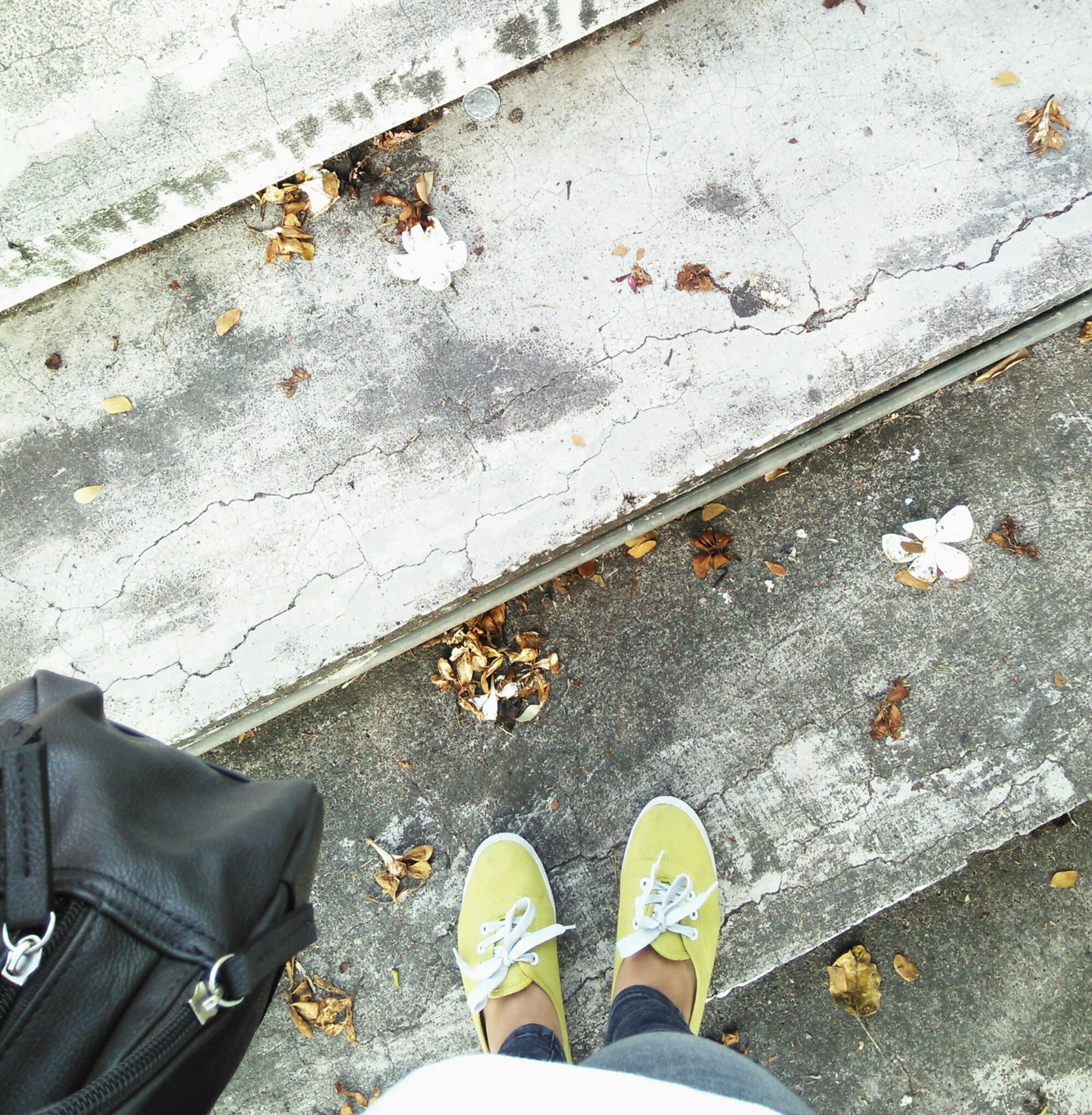 IMG_20150329_120041.JPG image