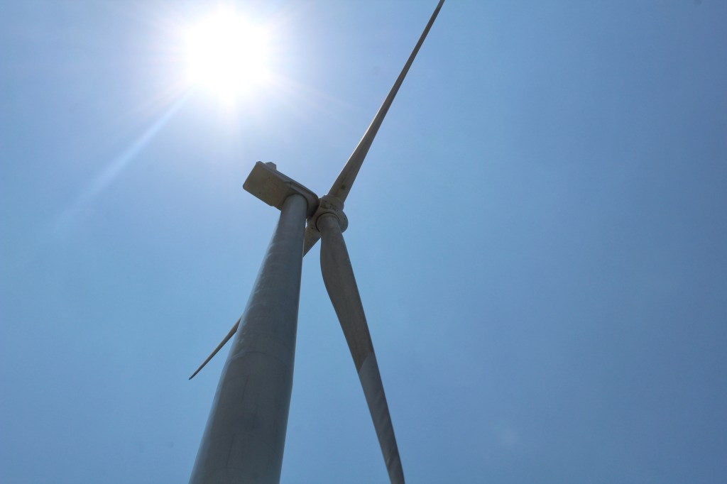 Northern Beauty and the Swarm of&nbsp;Travelers