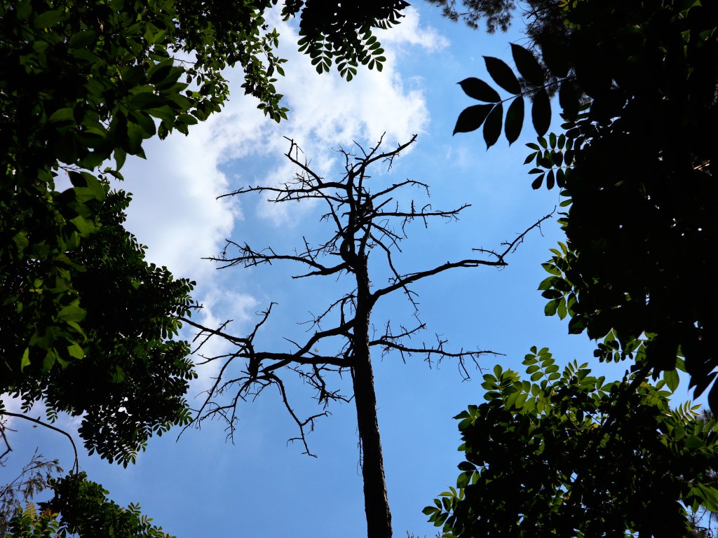 Getting Back my&nbsp;Time