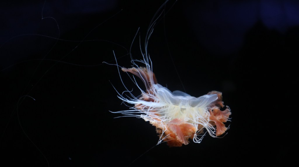 Never trust a&nbsp;poet