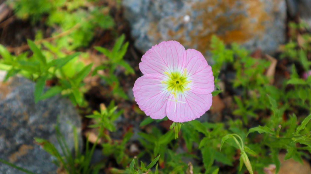 How to edit&nbsp;life?