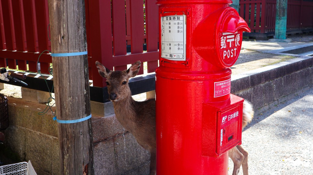 Peace for a Worrier: From Lockdowns to Living&nbsp;Again